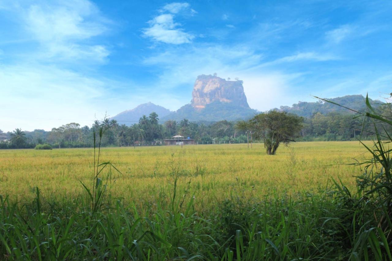 Sigiriya Hillside View Villa Exterior photo