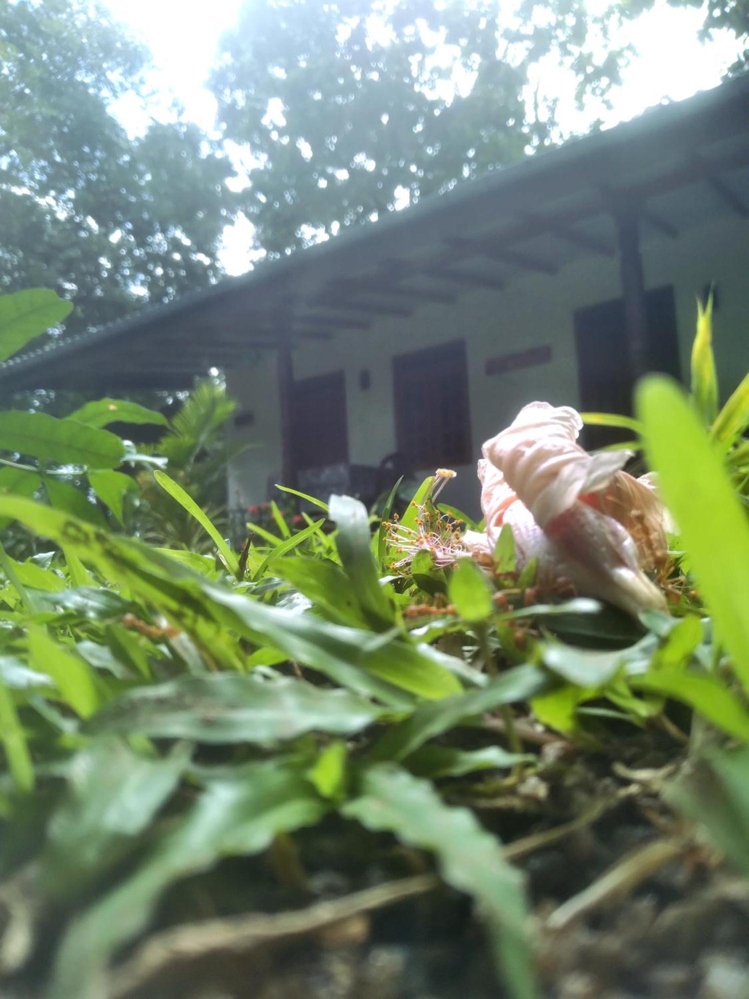 Sigiriya Hillside View Villa Exterior photo