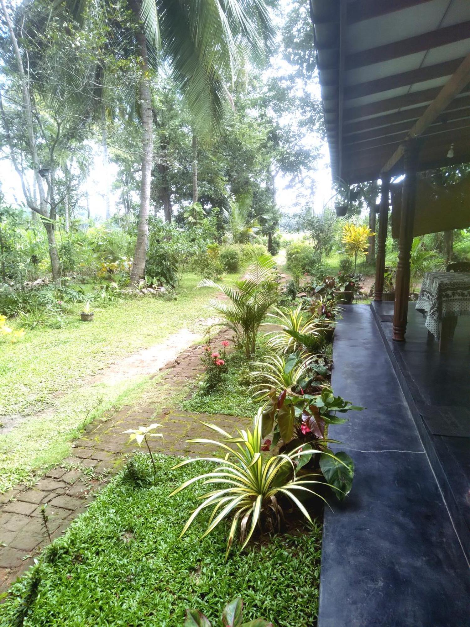 Sigiriya Hillside View Villa Exterior photo